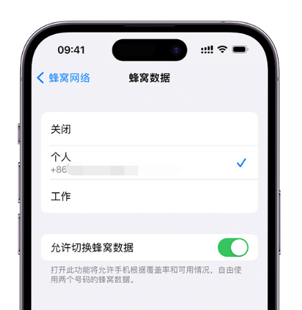 湖北苹果维修服务分享如何在iPhone上使用双卡 